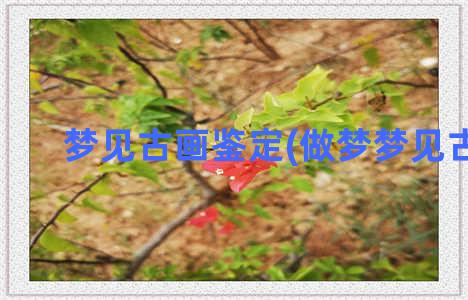 梦见古画鉴定(做梦梦见古画)