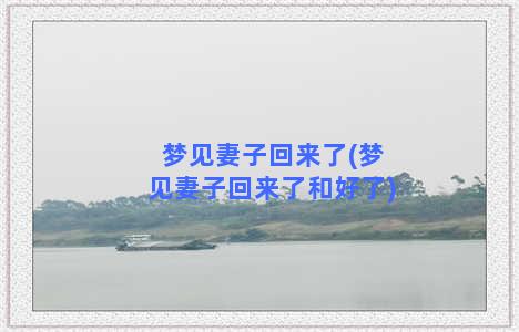 梦见妻子回来了(梦见妻子回来了和好了)